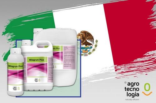 MILAGRUM PLUS de Grupo Agrotecnología obtiene el registro Biofungicida COFEPRIS en México