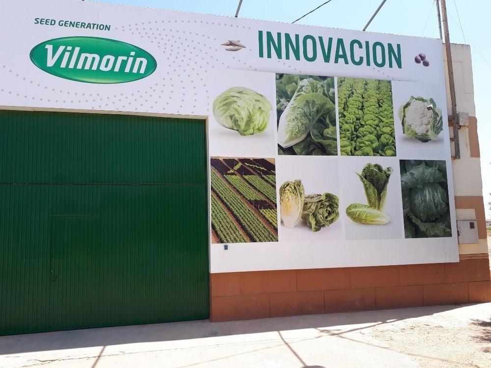 Vilmorin presenta su amplio catálogo de lechuga para el sureste español