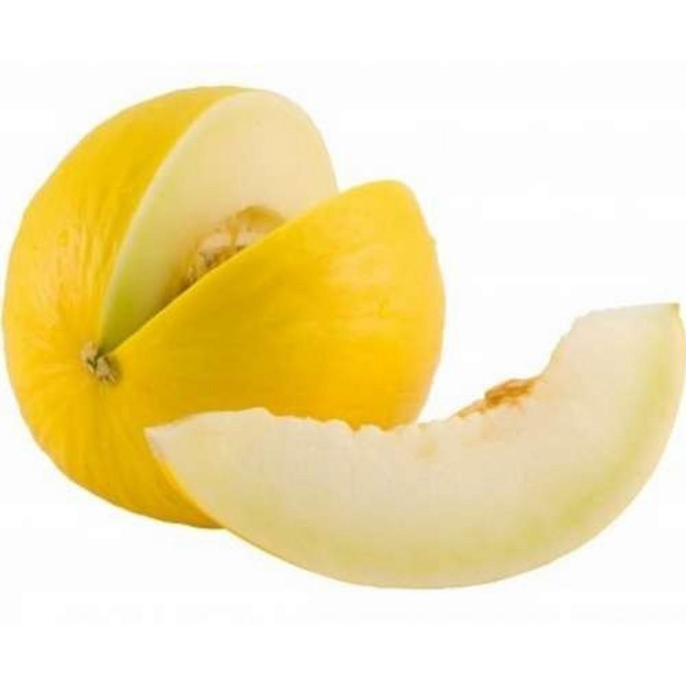 34-191 RZ y 34-192 RZ, los melones amarillos de Rijk Zwaan con más resistencias que garantizan alta producción