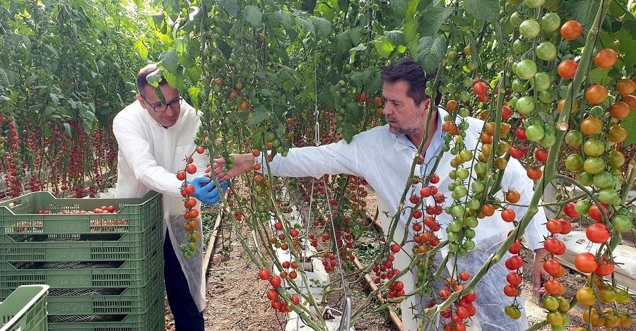 Marín anima a las empresas de Proexport a desarrollar “la agricultura del futuro”
