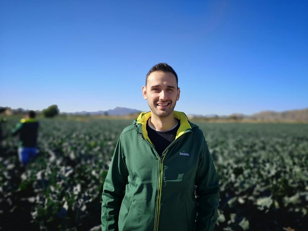 Seminis presenta en La Hoya de Lorca su variedad de brócoli 'Shard'