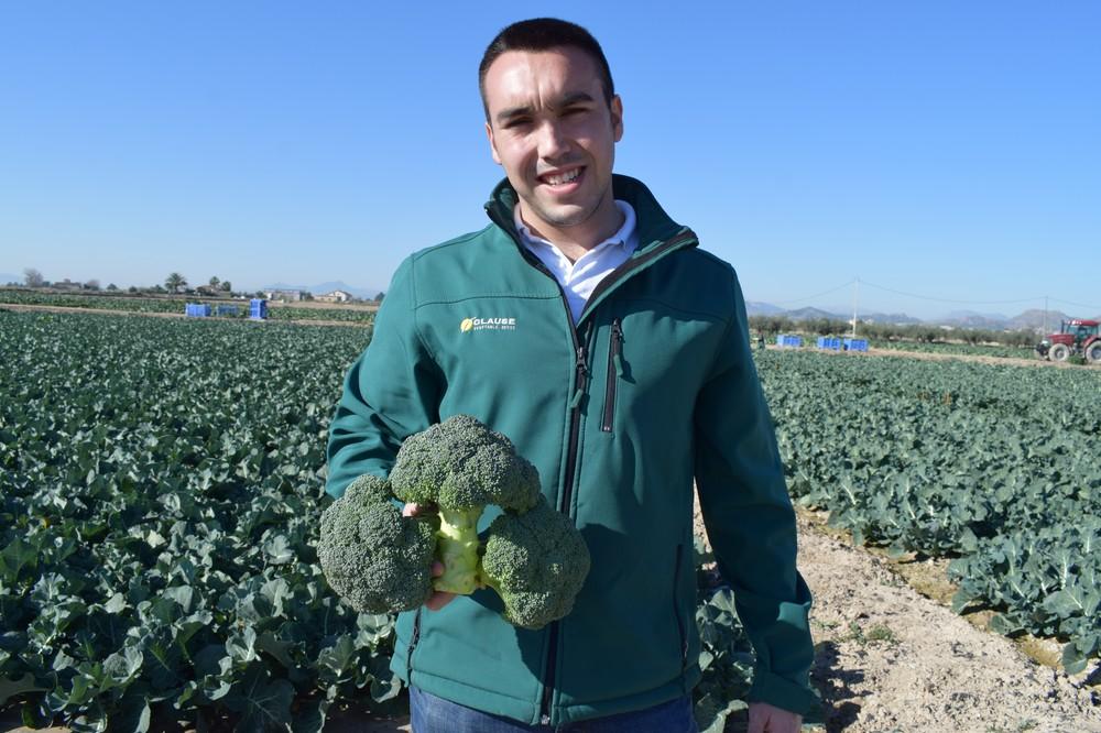 HM.CLAUSE garantiza la campaña de brócoli en Murcia con sus cuatro variedades