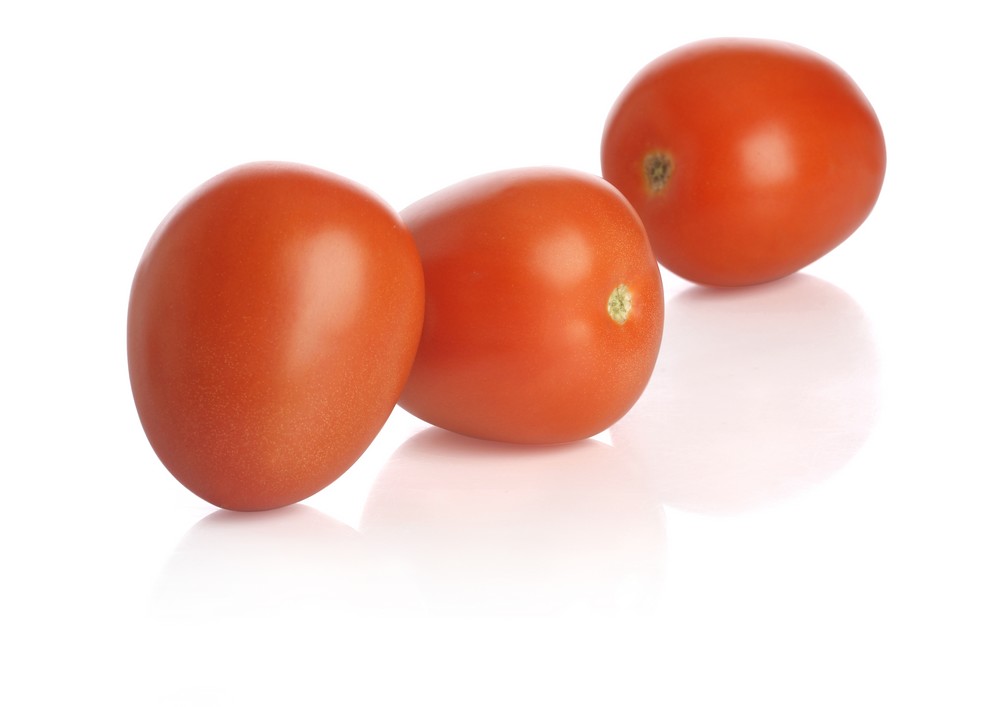 Atakama  RZ, el tomate pera para ciclo largo por su buen cuaje en invierno y larga vida comercial