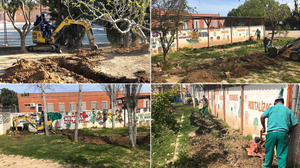 Seipasa y Agroquímicos Torre-Pacheco impulsan un proyecto para recuperar huertos escolares destruidos por las inundaciones de septiembre