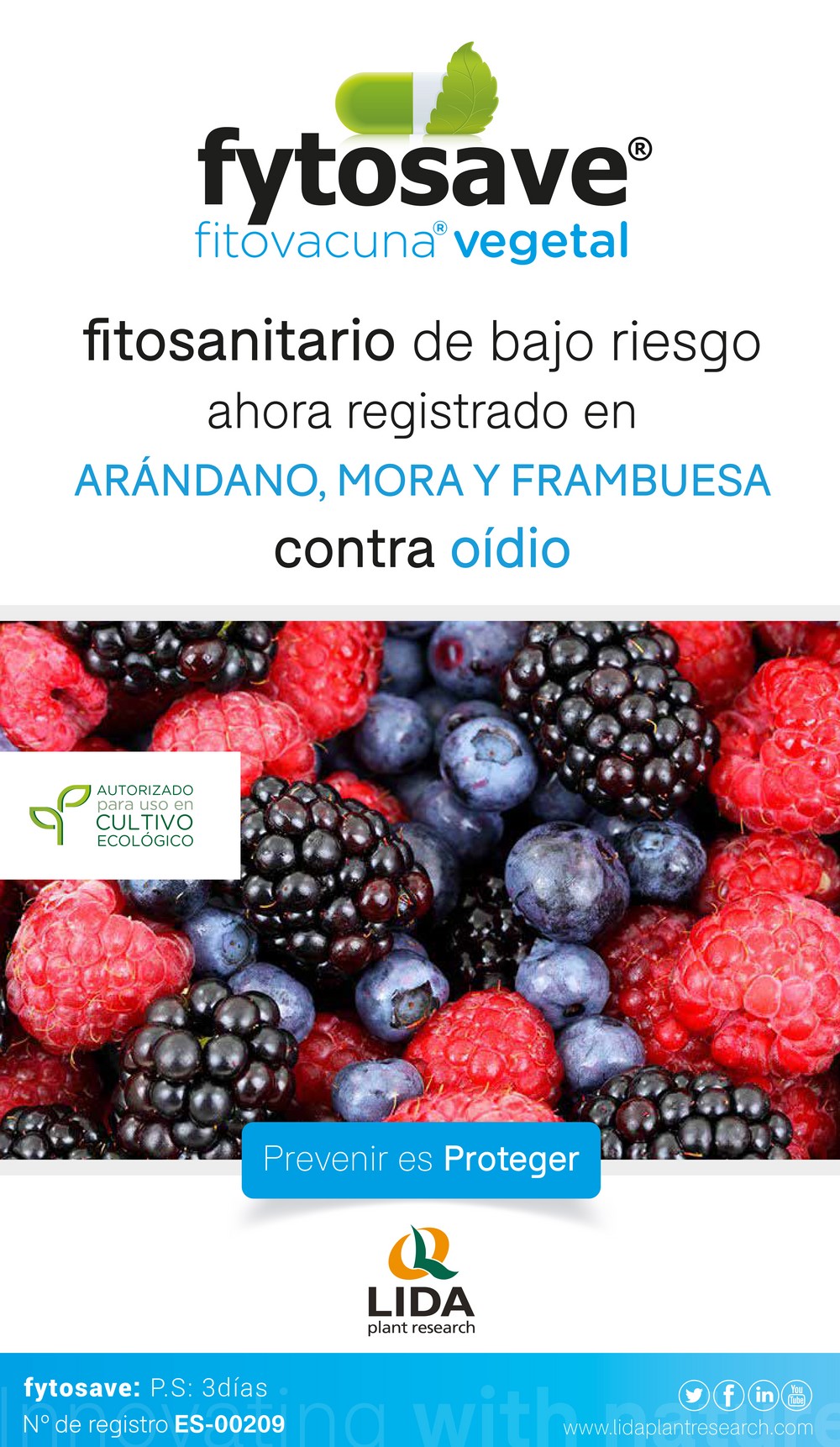 LIDA logra ampliar el registro de la fitovacuna vegetal Fytosave® para alcachofa y frutos del bosque contra el oídio
