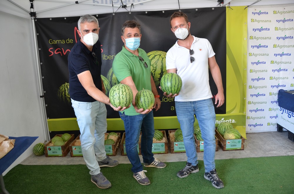 Syngenta organiza una jornada en Lorca para presentar sus principales referencias y novedades en su gama de sandía y melón