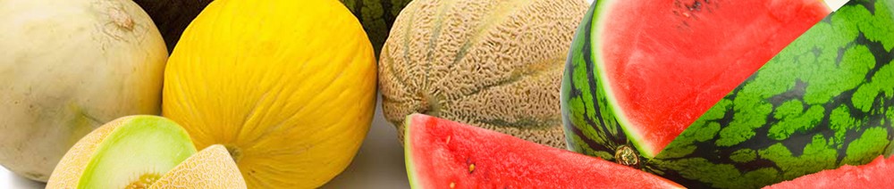 Fertilización eficiente  para melón y sandía con Herogra