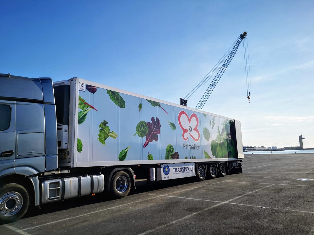 El Puerto de Almería aumenta las conexiones ‘reefer’ para contenedores y camiones refrigerados