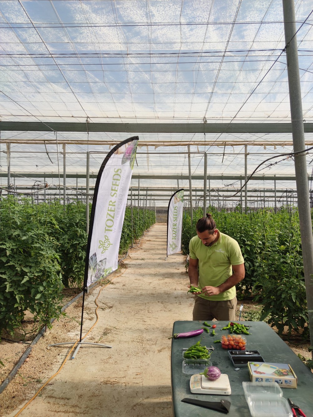 “En Almería tenemos un centro de I+D bajo invernadero para tomate, pimiento y berenjena, principalmente”