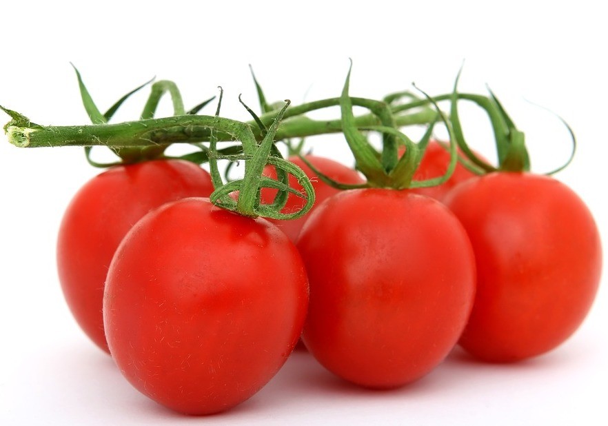 Malas noticias para el tomate almeriense