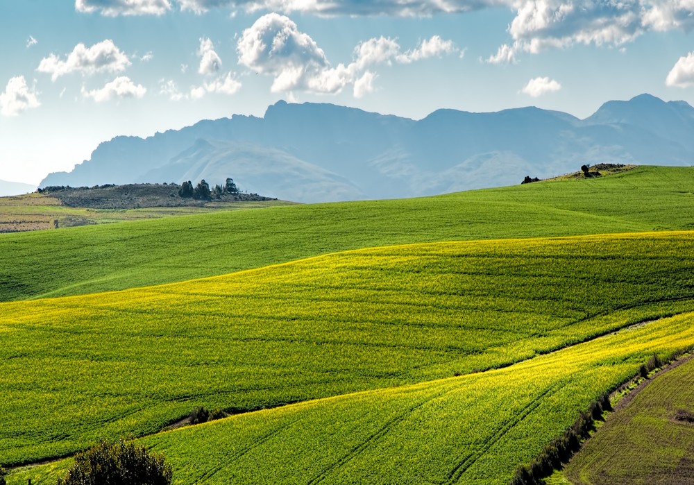 La superficie de cultivos en España se mantuvo estable en 2022, por encima de las 16,8 millones de hectáreas