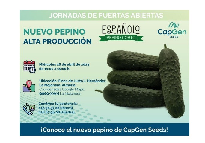 CapGen Seeds estrena su nueva variedad de pepino corto Españolo en la zona de poniente
