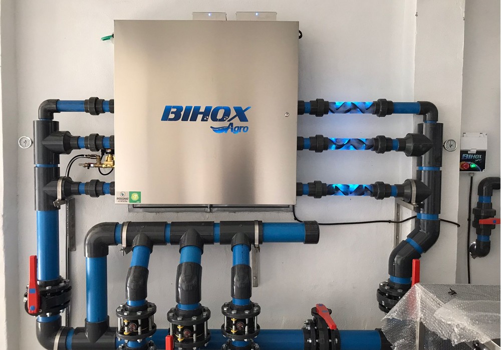 'Bihox® consigue una mayor producción y precocidad ahorrando agua, fertilizantes y productos químicos'