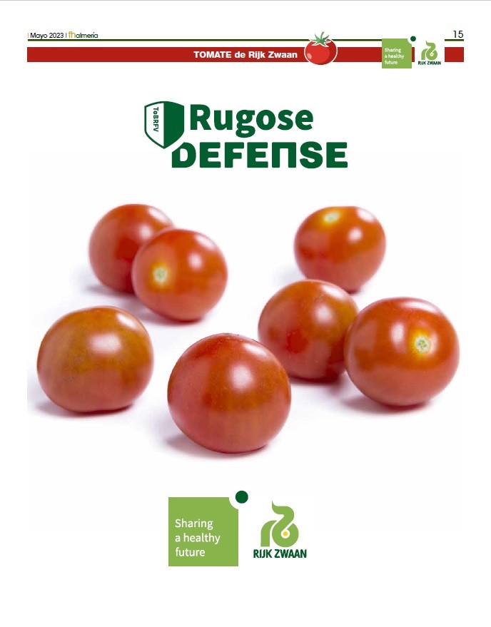 Mayo 2023|| Especial de tomate y su injerto de Rijk Zwaan
