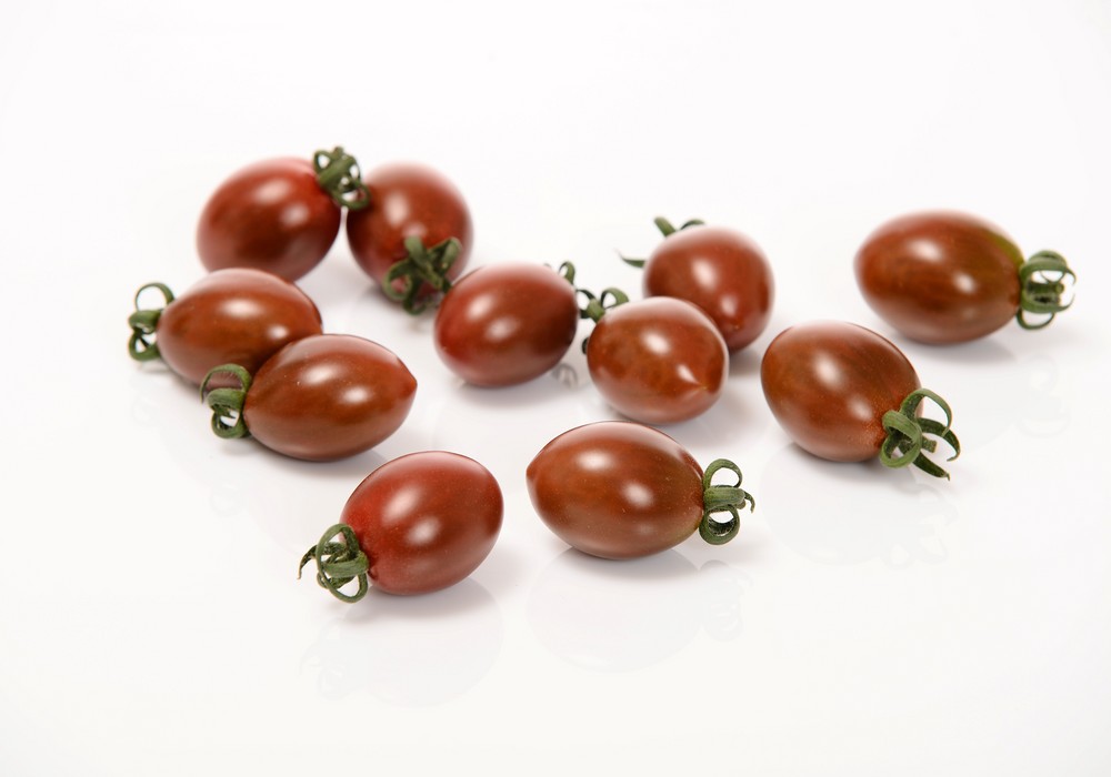 Sakata Seed confirma Resistencia Intermedia (IR) al ToBRFV en variedades de tomate