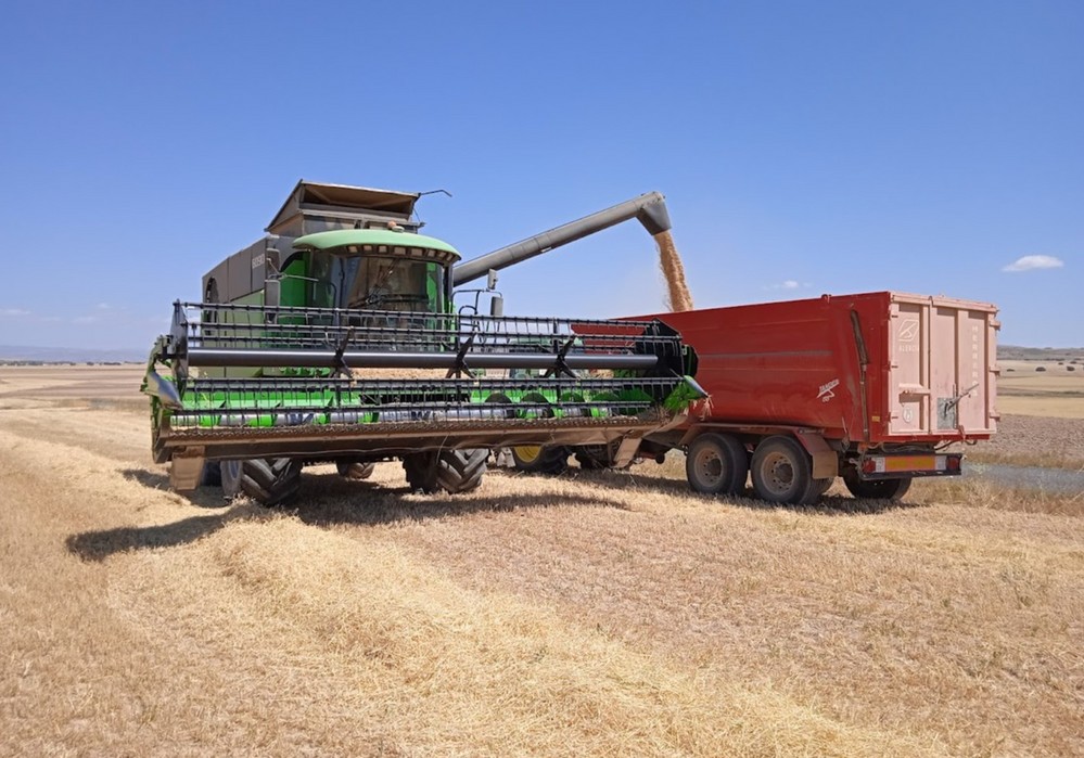ASAJA-Almería prevé un descenso del 90% de la producción de cereal