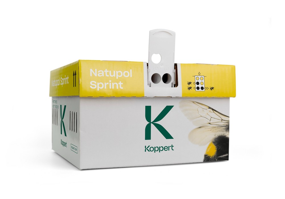 Ya está aquí Natupol Sprint de Koppert: polinización a máxima velocidad