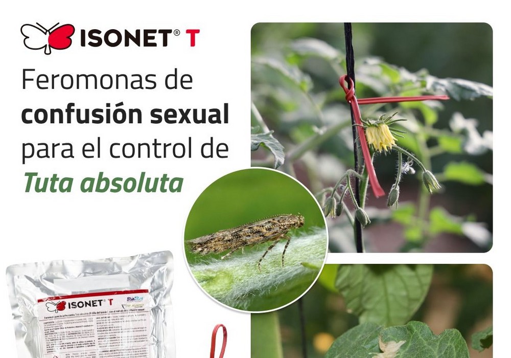Isonet® T, Confusión sexual para el control de Tuta absoluta
