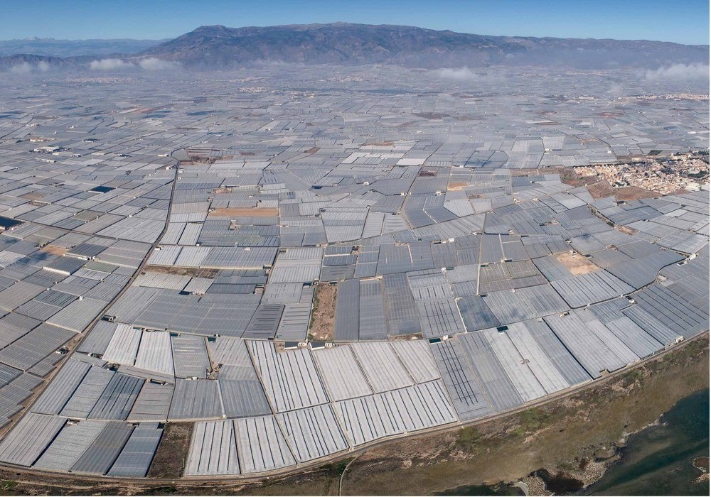 El sector agrícola lidera el crecimiento laboral de Almería