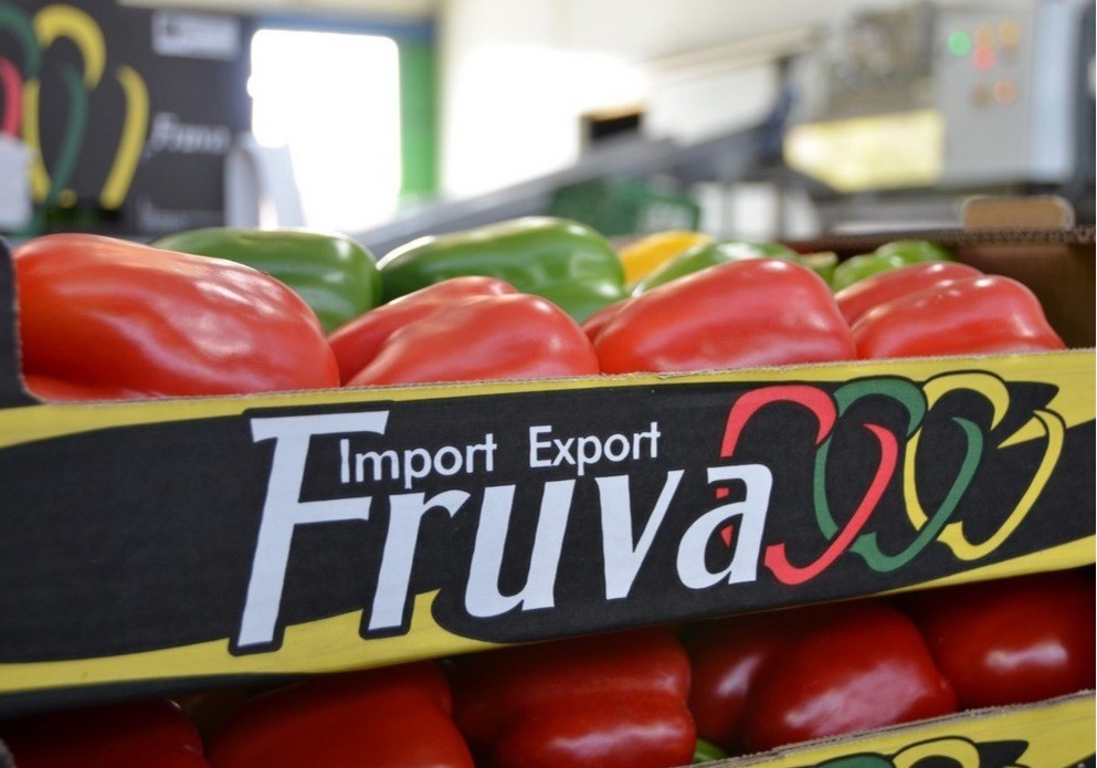 Import-Export Fruva ofrece producción de calidad los 365 días del año bajo una innovación continua