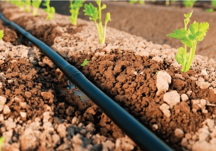 VitalFluid incrementa los cultivos ecológicos hasta un 30% con una solución sostenible