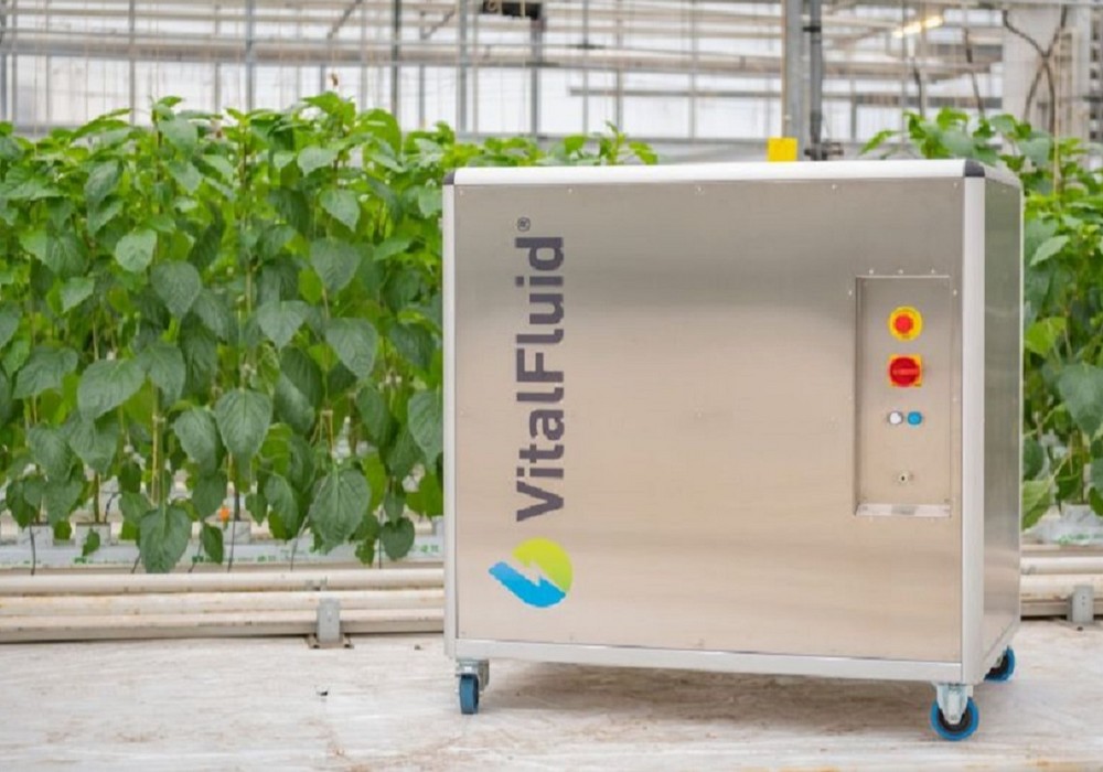 VitalFluid: la solución basada en la naturaleza que mejora la produción de cultivos bio