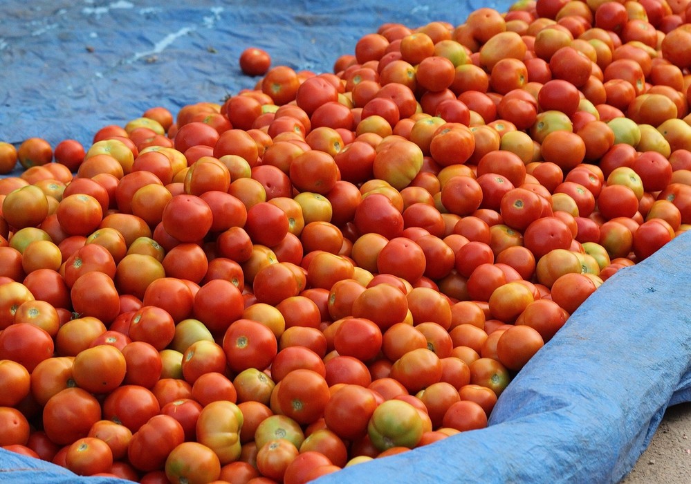 La importación comunitaria de frutas y hortalizas procedentes de países terceros creció un 6,5% en volumen y un 12% en valor hasta septiembre