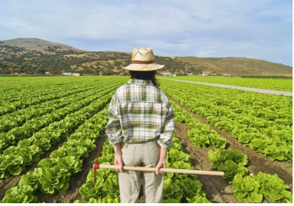 El Gobierno y las comunidades autónomas hacen balance del primer año de aplicación del Plan Estratégico de la Política Agraria Común