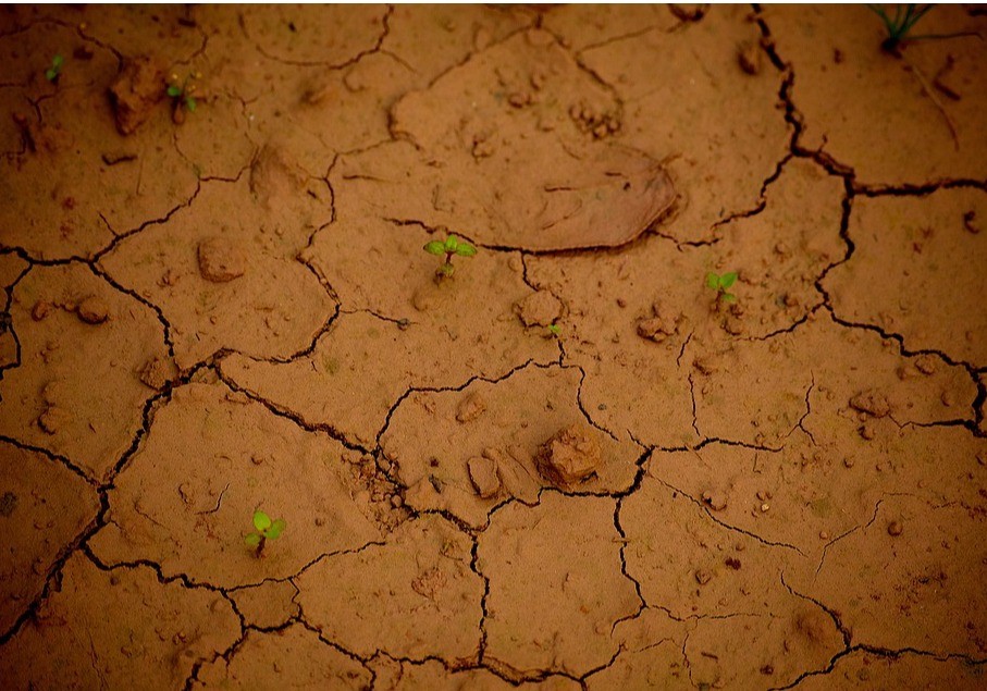 Consejería de Agricultura y secretaría de estado de Medio Ambiente mantienen una nueva reunión para abordar acciones por la sequía