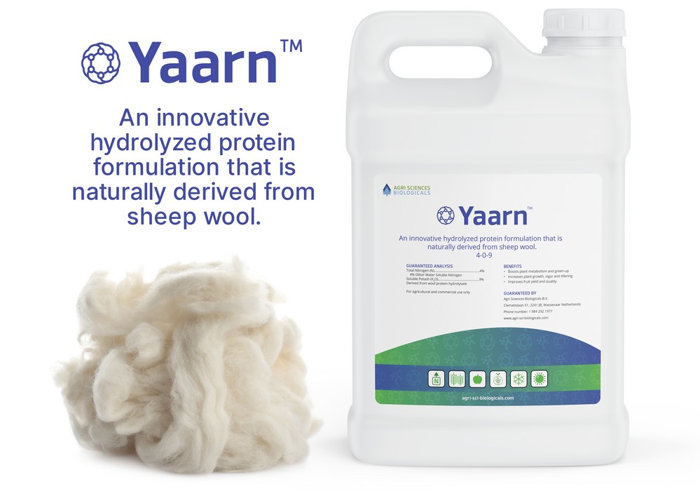 Una formulación líquida basada en lana de oveja aumenta el rendimiento y la calidad del tomate