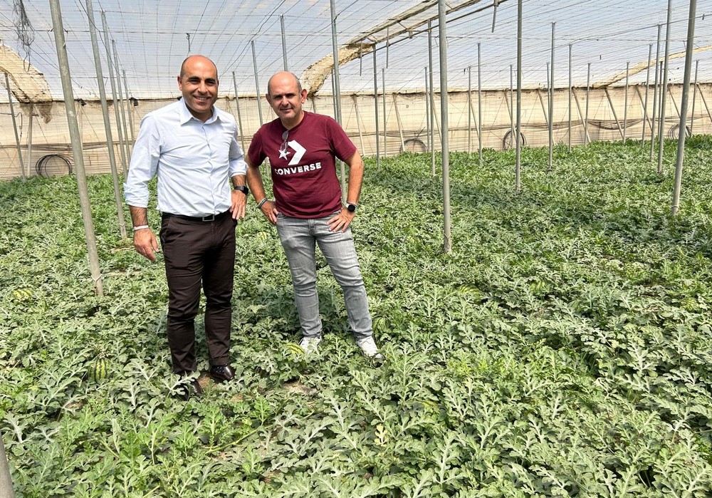 Agricultura inicia las inspecciones de la campaña “No cortes en verde” en sandía y melón en colaboración con Hortyfruta