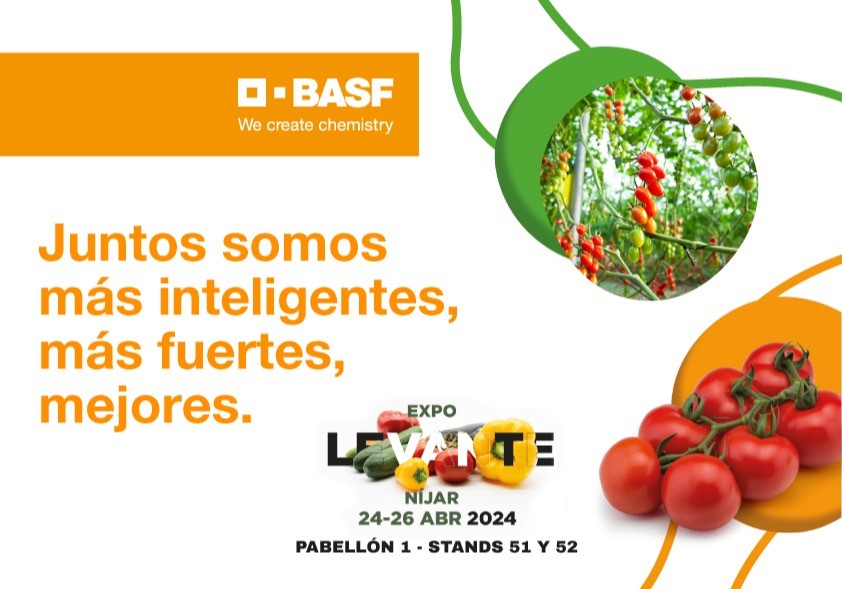 BASF | Nunhems lleva a Expolevante sus soluciones globales para el sector productor de tomate