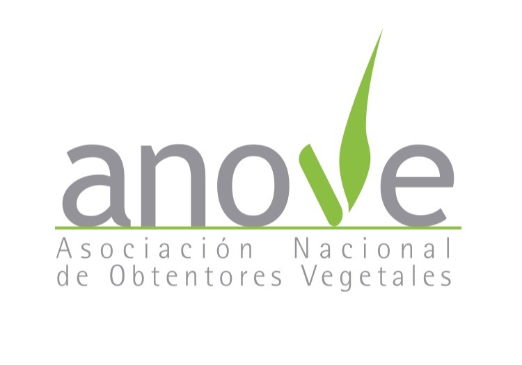 Los Premios ANOVE se celebrarán el próximo 6 de junio en Sevilla