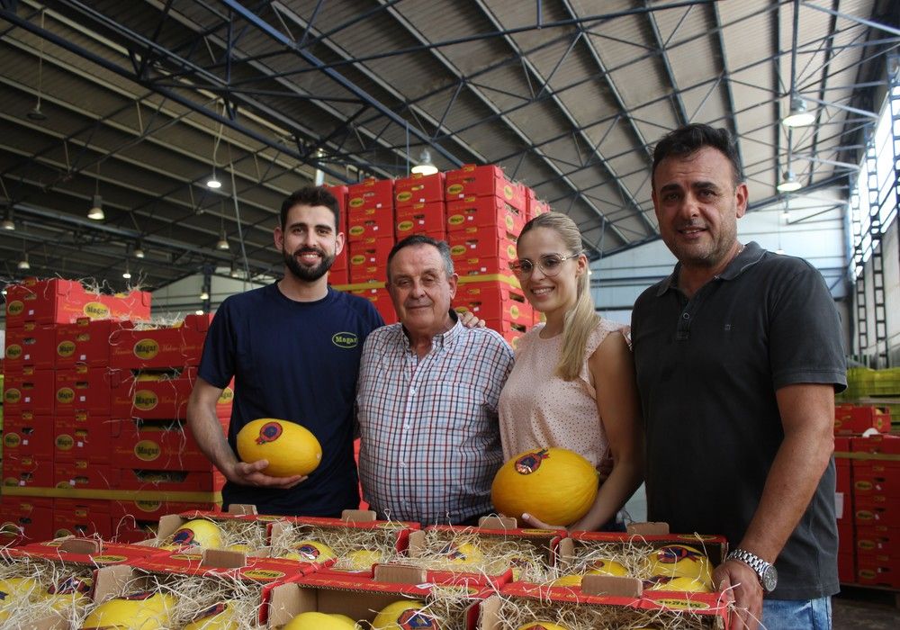Francisco Maleno García S.L (MAGAR), símbolo de calidad y compromiso en la comercialización de melón amarillo