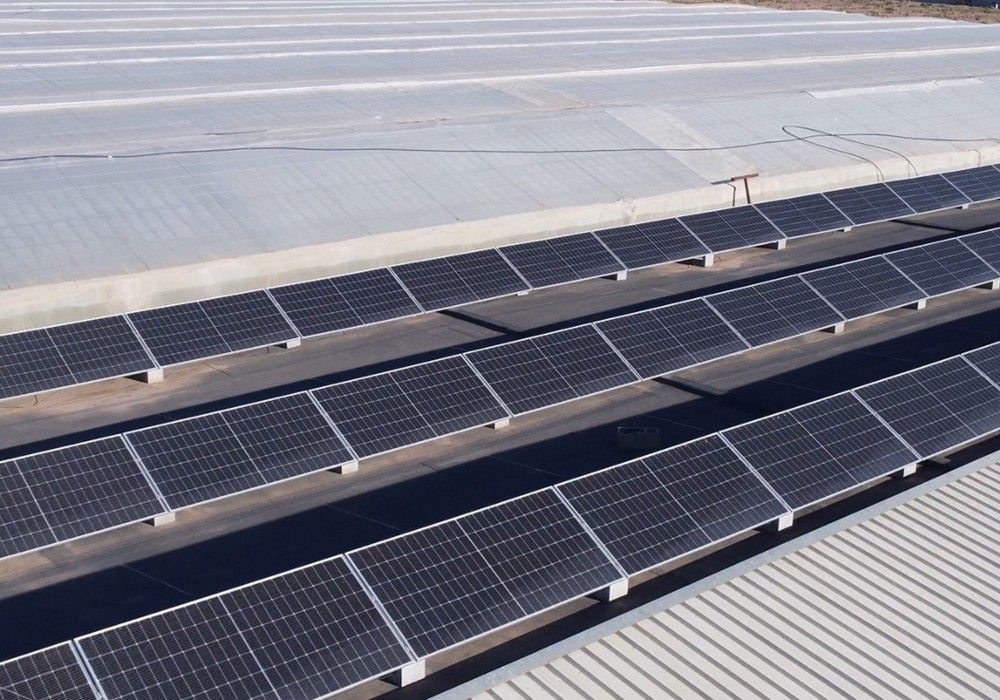 Energía fotovoltaica en invernaderos:  Rentabilidad de dos dígitos