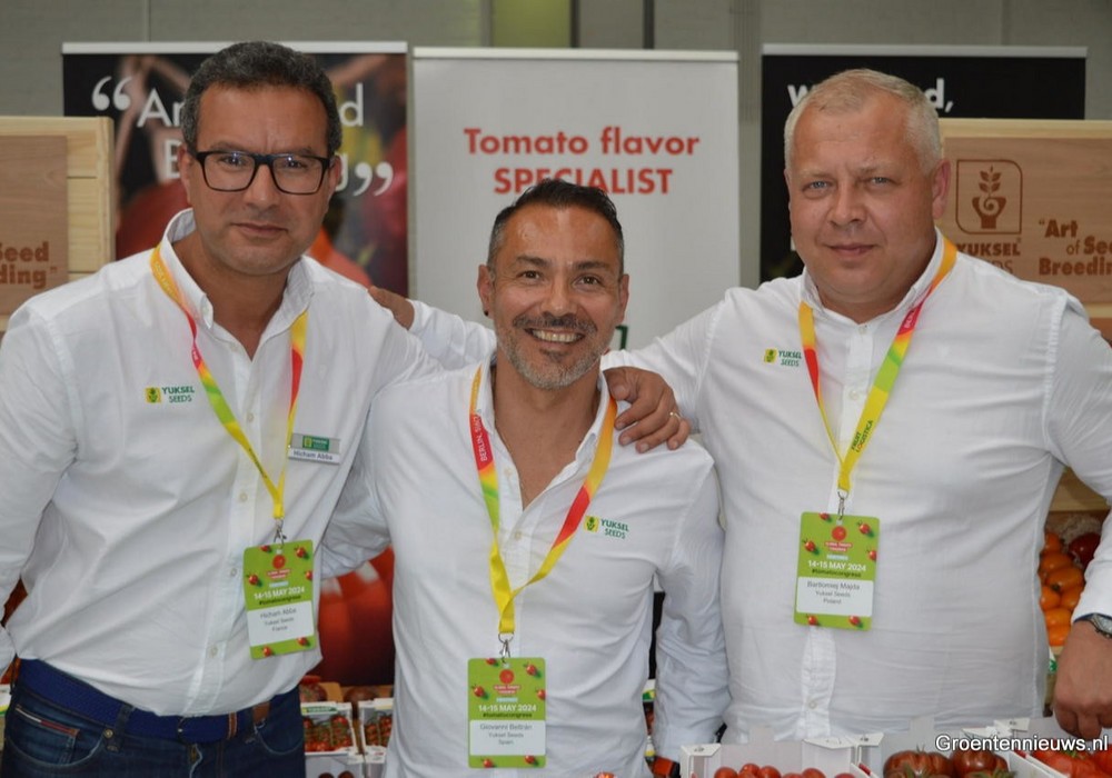 Yuksel Seeds presentó en Holanda sus últimas variedades en tomate