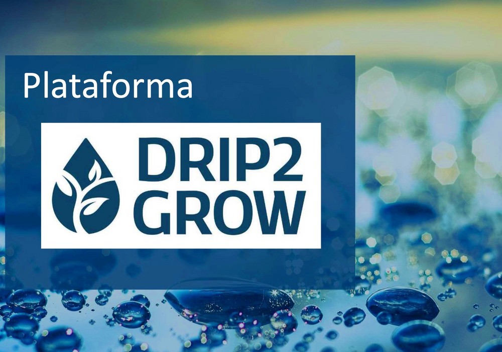 La plataforma DRIP2GROW permite ahorros de agua de hasta el 30% en cultivos hortícolas
