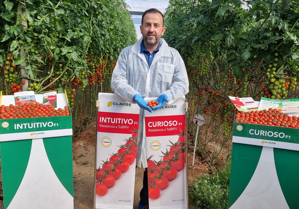HM.CLAUSE, la innovación en tomate