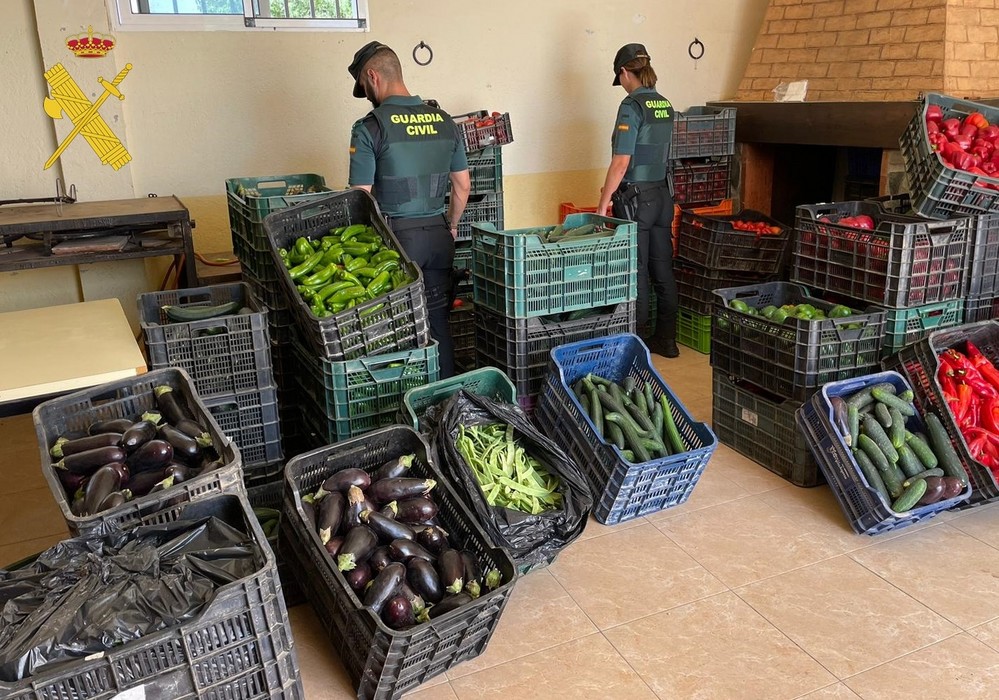 La Guardia Civil recupera más de una tonelada de verduras robadas en la comarca del Almanzora