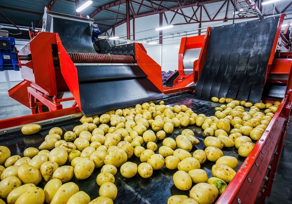 El valor de las exportaciones hortofrutícolas a EEUU crece casi un 34% en el primer trimestre de 2024