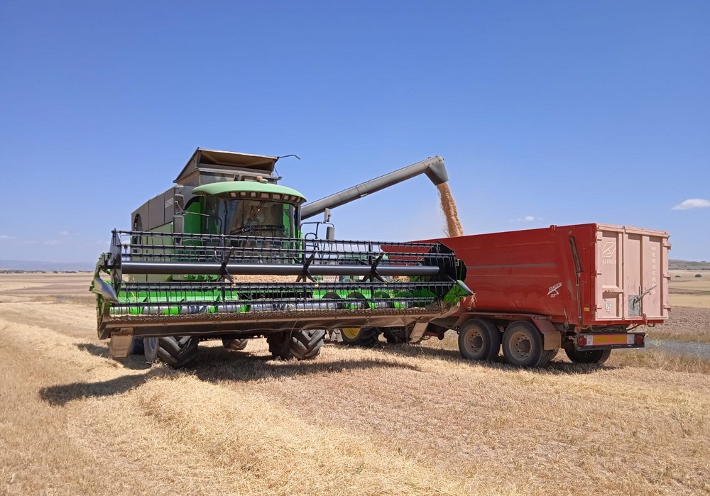La sequía desploma la producción de cereal almeriense un 95%