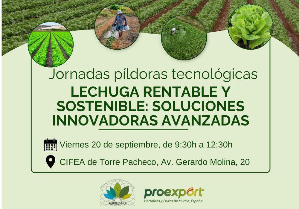 AgritechMurcia y Proexport analizarán las soluciones innovadoras sobre la producción de 'Lechuga Rentable y Sostenible'