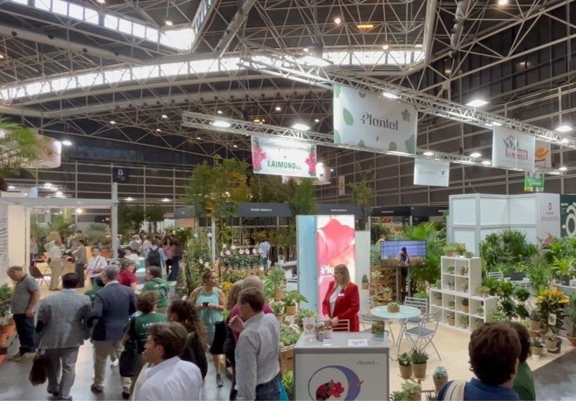 Plantaespaña forma parte de las 450 marcas presentes en Iberflora 2024