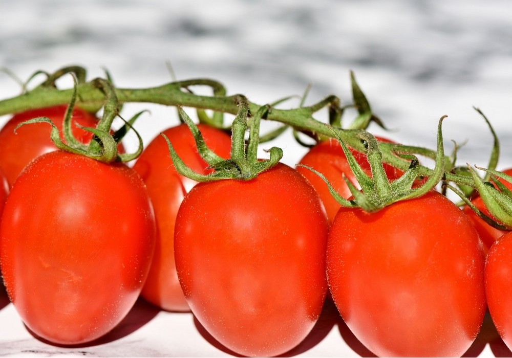 Suben de precio los tomates y los pimientos, pero bajan las berenjenas y el calabacín fino