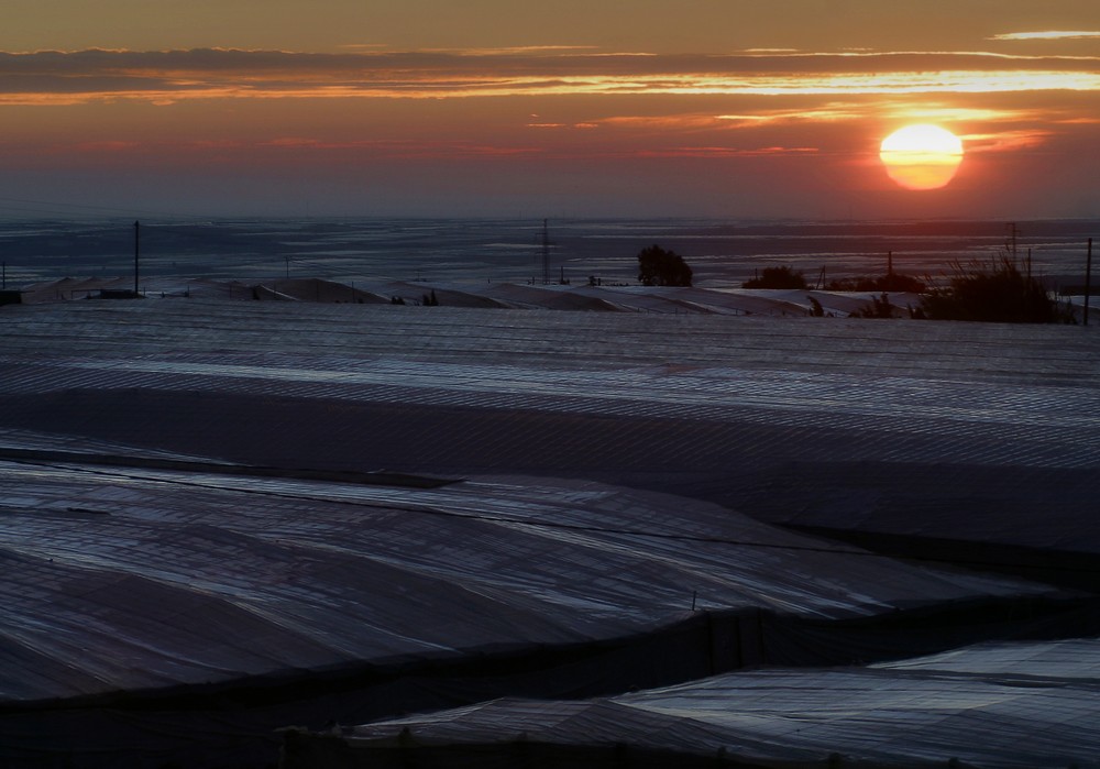 El invierno amenaza la rentabilidad de los hortícolas de invernadero