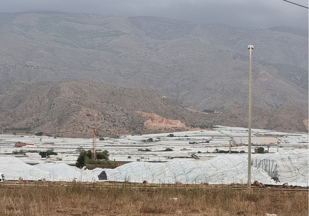 El MAPA publica la primera relación de 6.742 beneficiarios de la ayuda directa por pérdida de renta por efectos de la dana