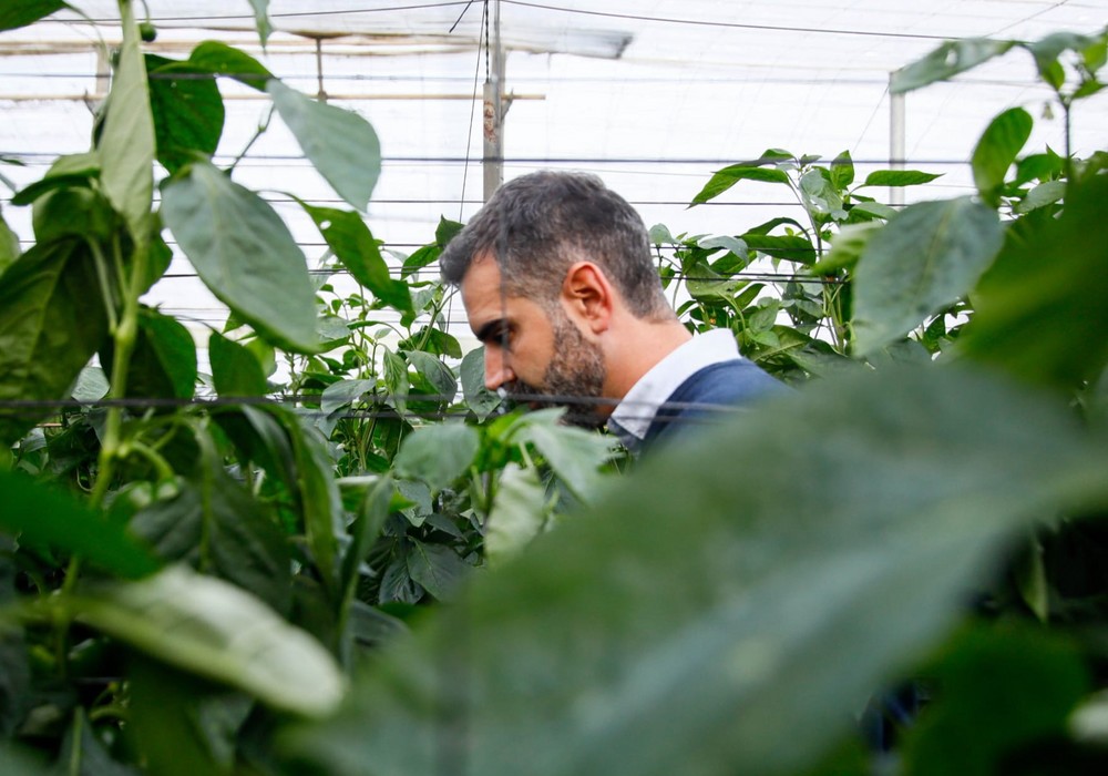 La Junta amplía un mes el plazo para solicitar las ayudas para jóvenes agricultores por 130 millones