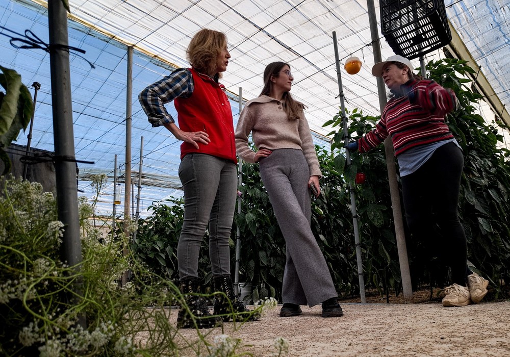 El PP anima a los jóvenes agricultores a acogerse a las ayudas de 130 millones de la Junta para impulsar el relevo generacional